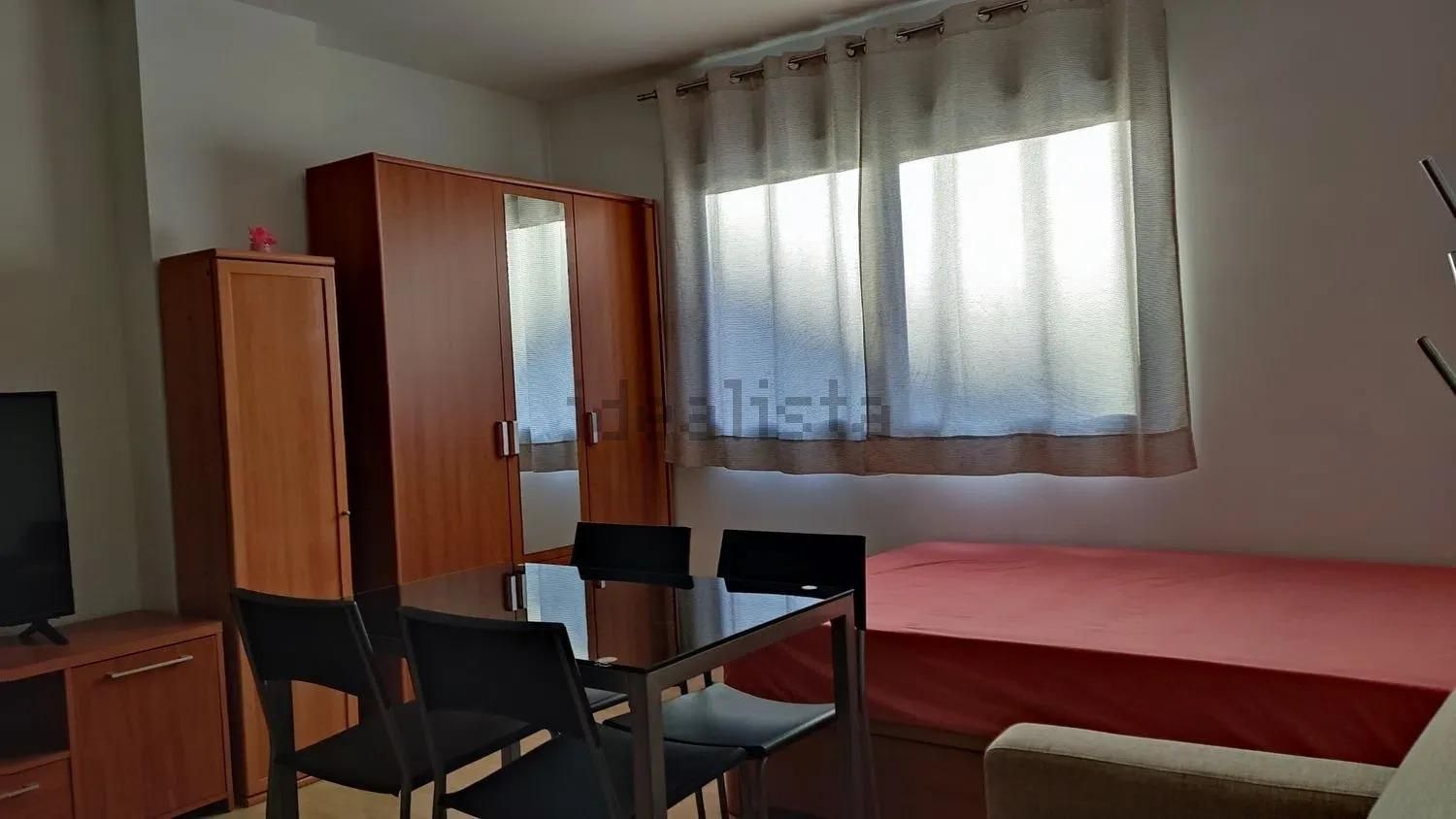 Estudio en Calle Pacífico, Huelin - Foto 9