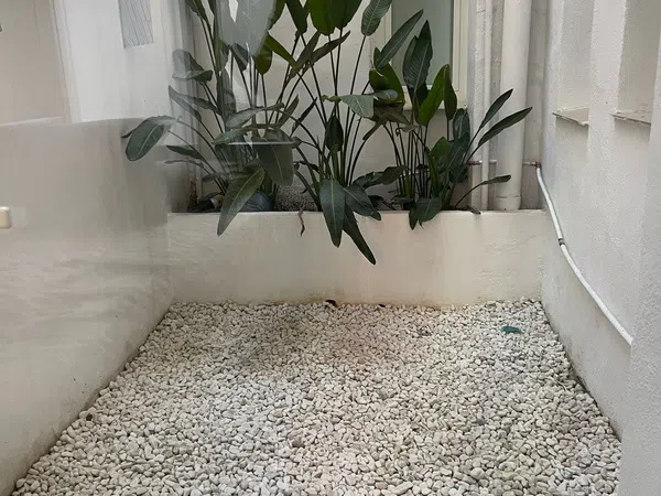 Piso en Calle de Felipe de Gauna, 25 - Foto 2