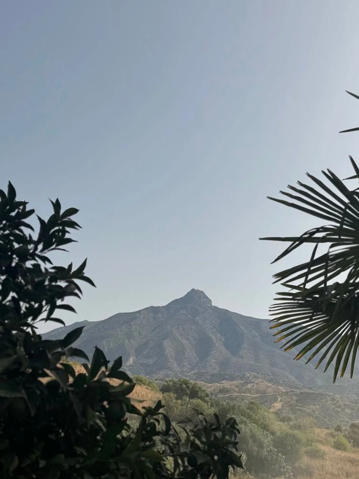 Piso en Urbanización Los Pinos de Aloha, 161 - Foto 29