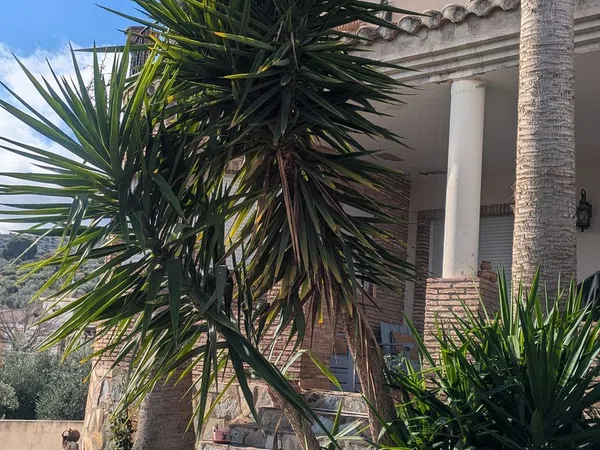 Casa o chalet independiente en Calle las Rozas, 3 - Foto 17