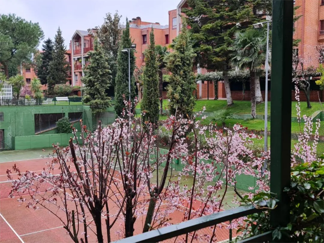 Piso en  Carretera de Húmera 87 - Foto 35