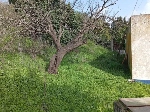 Finca rústica en camino Cañada del Fontanar s/n - Foto 4