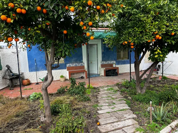 Casa o chalet independiente en Camino de las Palmeras, 4, Puebla de Soto, Murcia - Foto 14