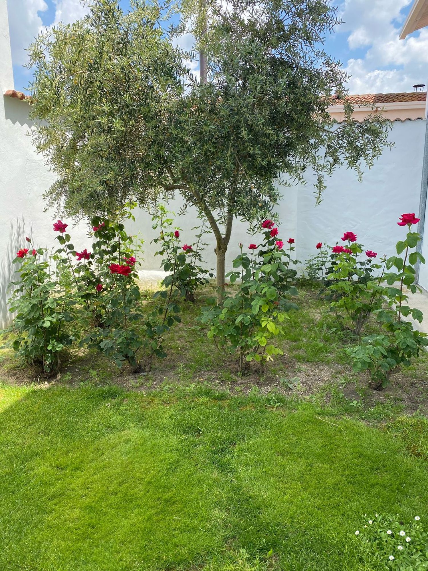 Casa de pueblo en Calle Cantarranas, 10 - Foto 20