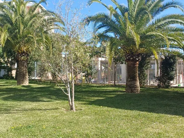 Piso en Palmanova - Foto 30