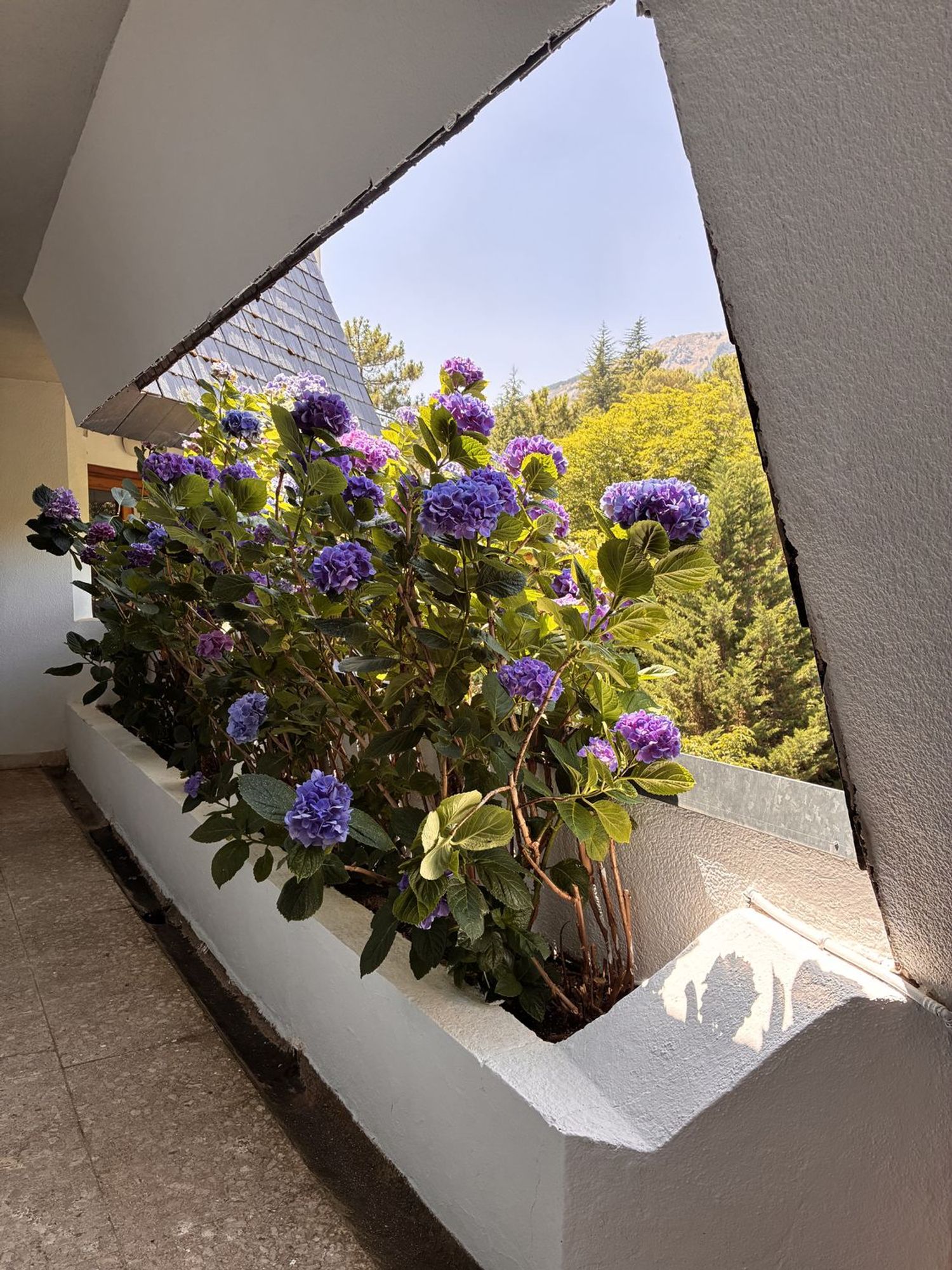 Ático en Calle Timoteo Padrós, 29, Abantos - Carmelitas, Abantos - Carmelitas - Foto 29