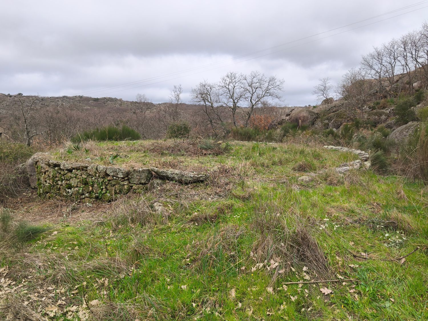Finca rústica en Poblado los Arroyos de Abajo, 39 poligonoparcela - Foto 30