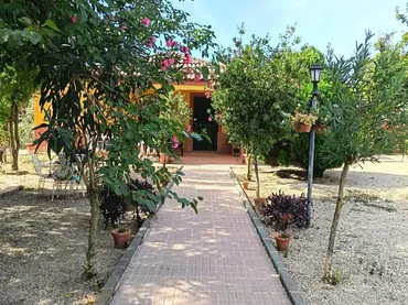 Finca rústica en  Urbanización las Encinas 2 - Foto 2