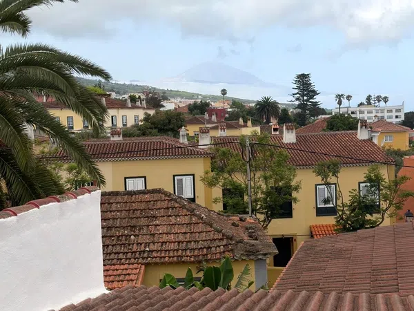 Casa o chalet independiente en Calle Valerio J. Padrón, 85, Tacoronte - Los Naranjeros, Tacoronte - Los Naranjeros - Foto 27