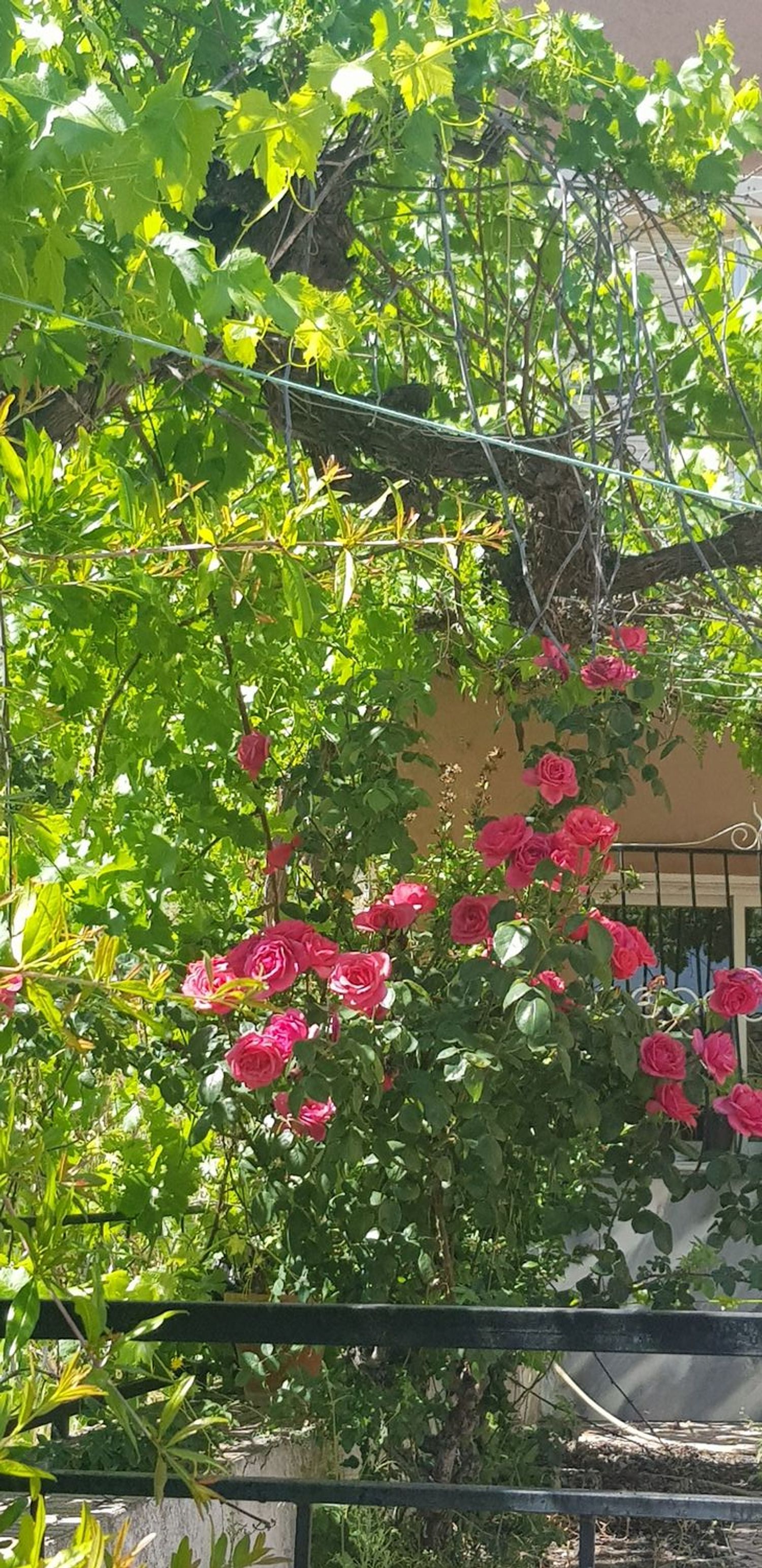 Casa rural en Barriada de Los Raspajos., 1 - Foto 16