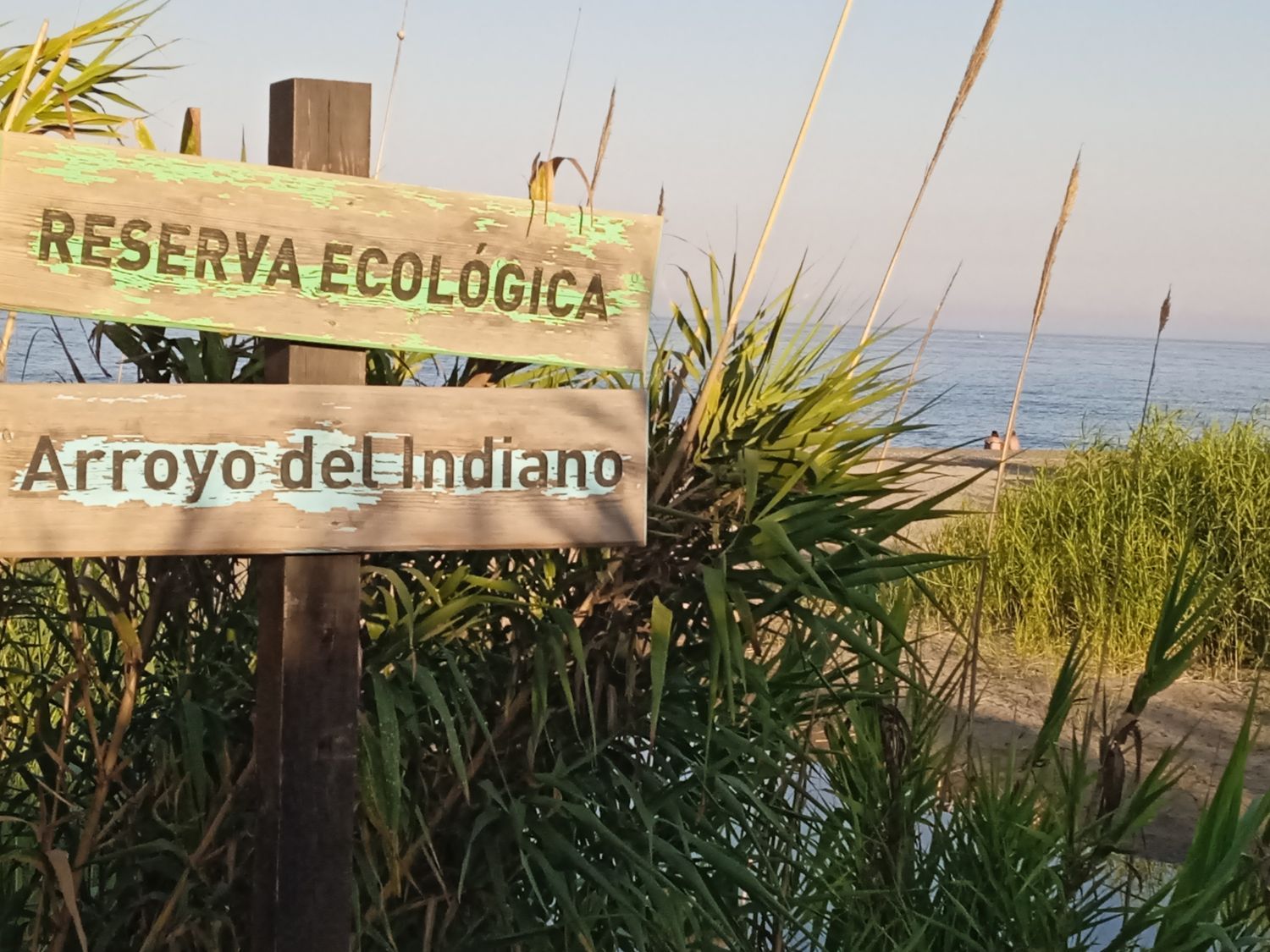 Piso en Urbanización Aldea Hills, 21 - Foto 2