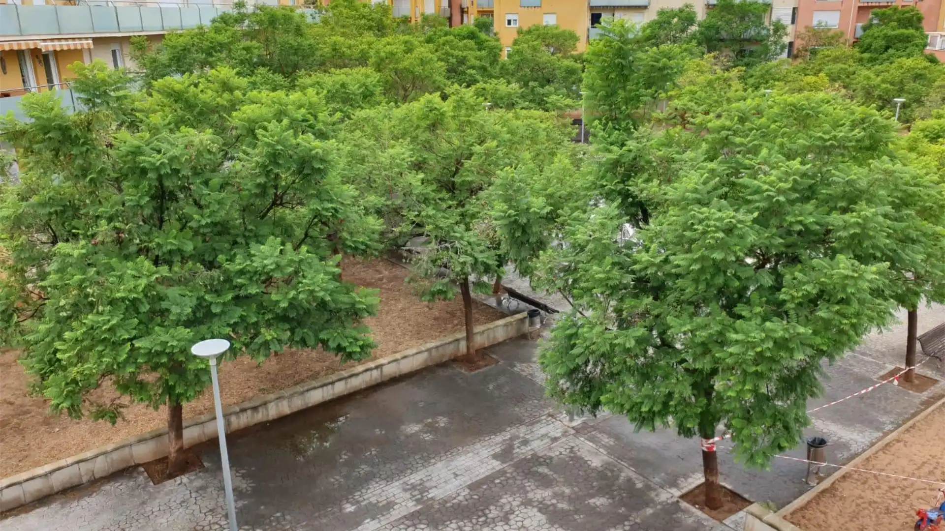 Piso en  Carrer Rafael Cifre Vila 6 - Foto 24