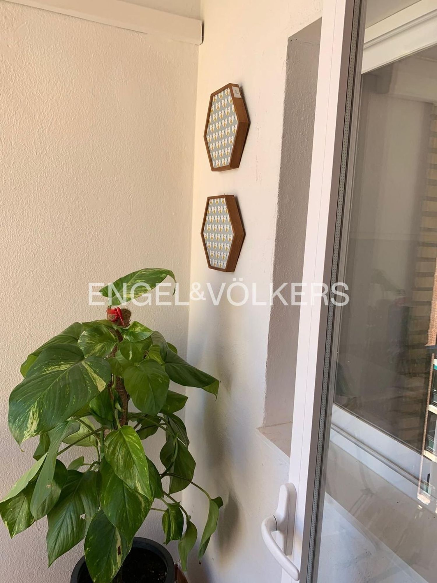 Piso en Nou Moles, Nou Moles - Foto 15