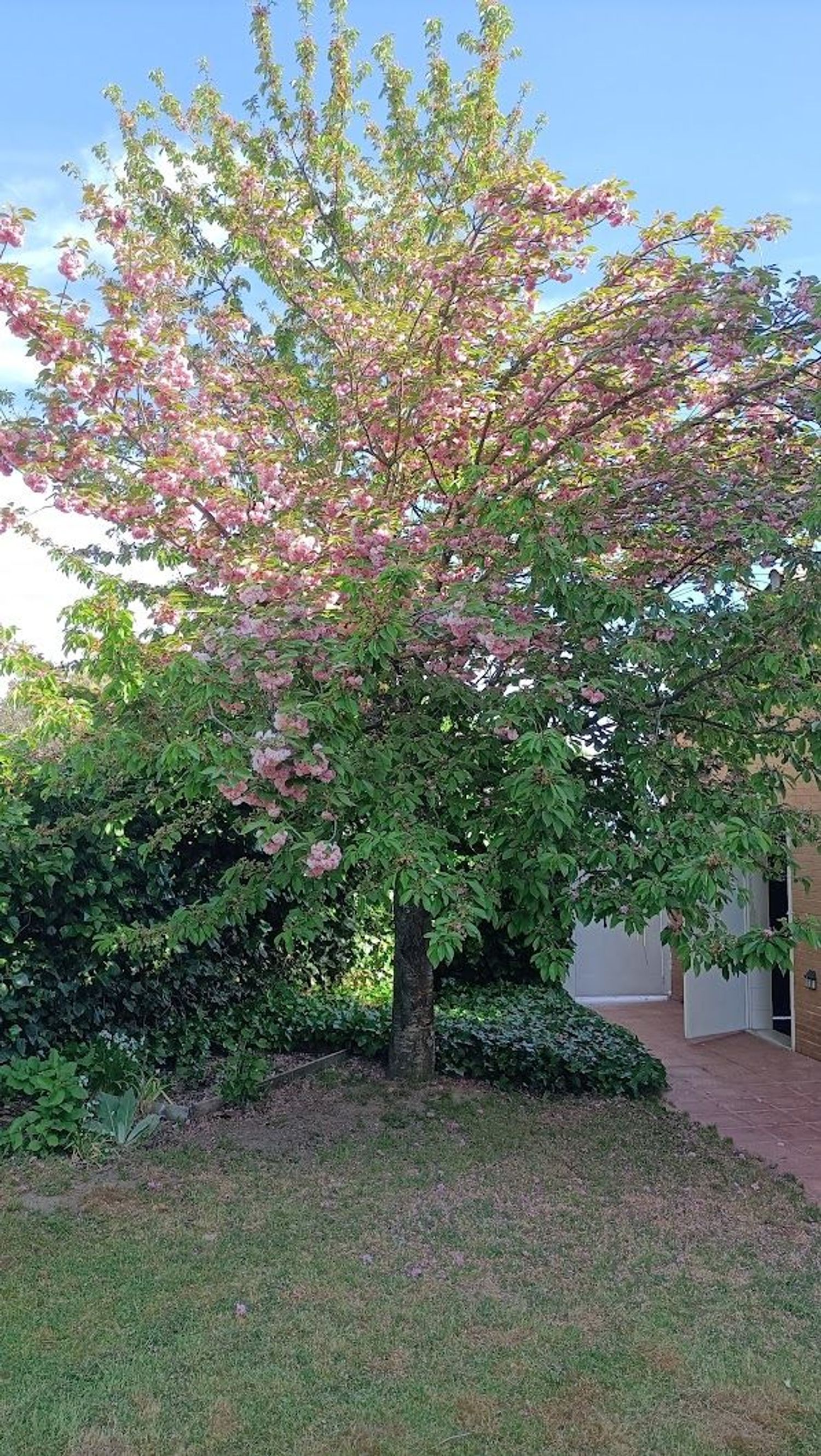 Chalet pareado en Calle Infanta Beatriz, 2 - Foto 6