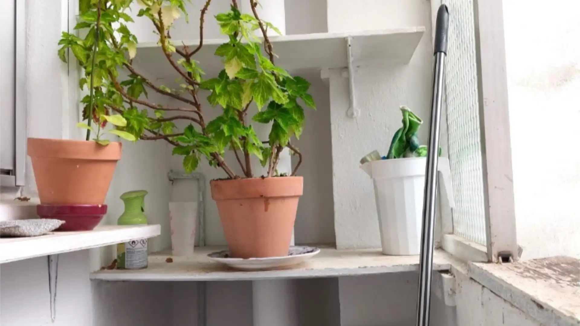 Piso en  Carrer del Brasil 77 - Foto 9