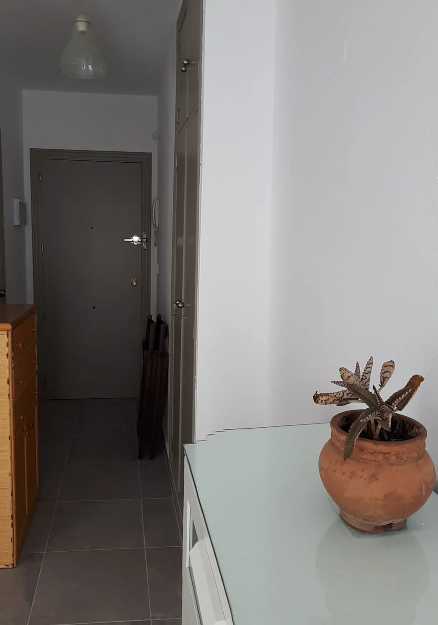 Estudio en calle Antonio Maura Montaner, 4 - Foto 7