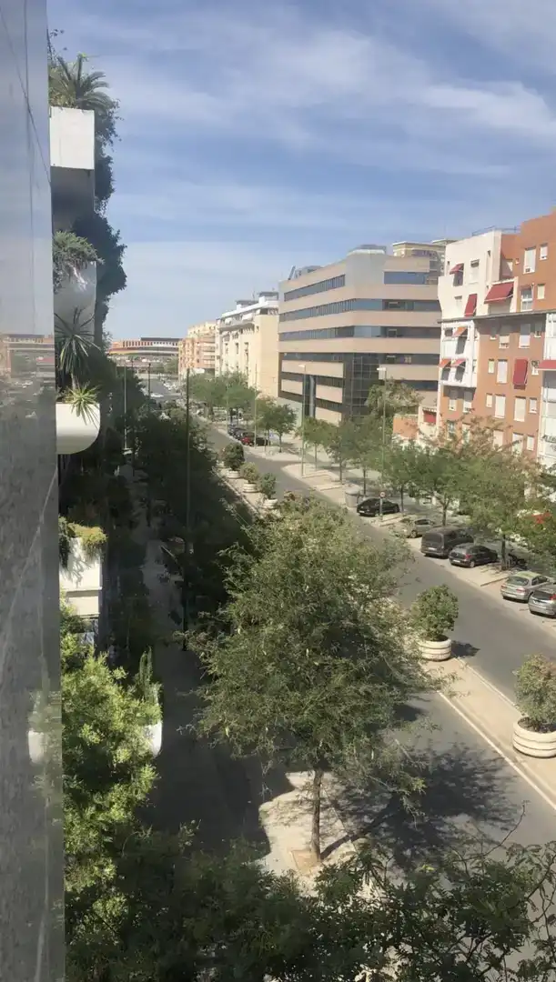 Piso en  Avenida de la Buhaira 18 - Foto 20