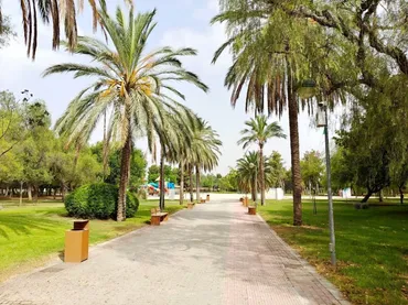 Estudio en  Carrer de la Mare de Déu dels Desemparats 43 - Foto 11