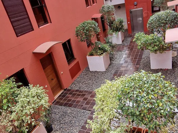 Dúplex en calle José Gómez Bosch Doctor, 3