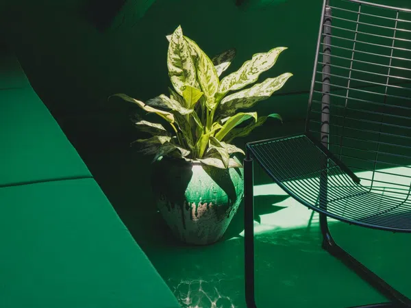 Ático en calle de Andrés Borrego, 15 - Foto 10