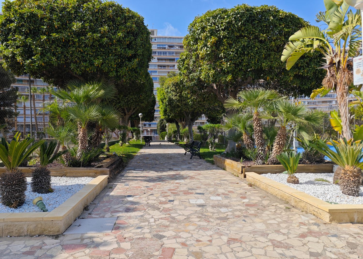 Piso en Avenida Benidorm, 18, Playa de San Juan - Foto 19
