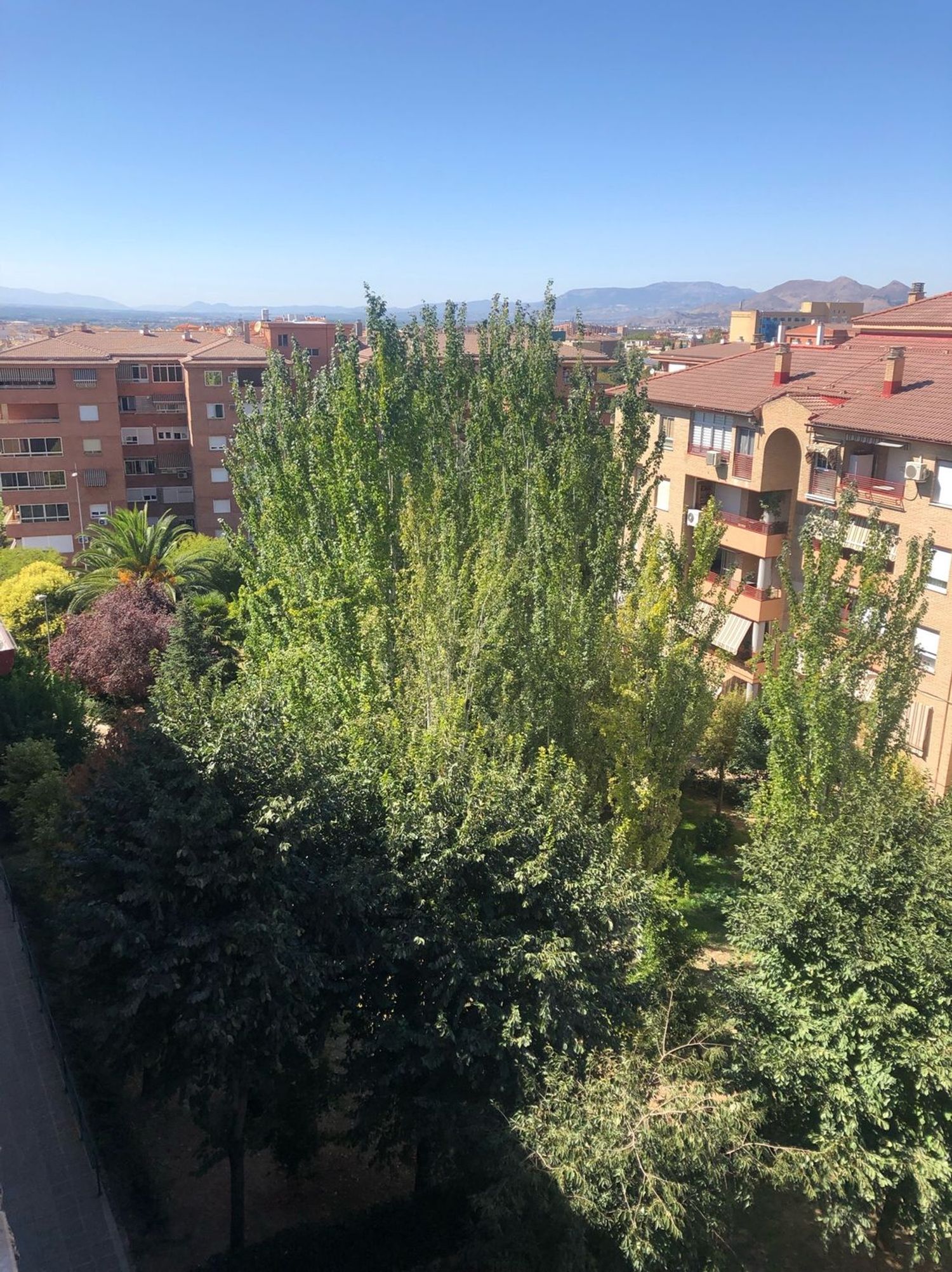 Piso en Avenida de Pulianas, 24 - Foto 17