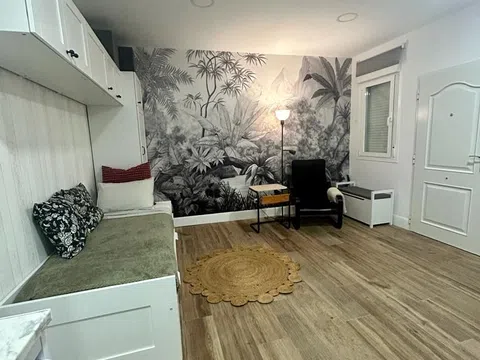 Estudio en calle de Segovia, 51 - Foto 1