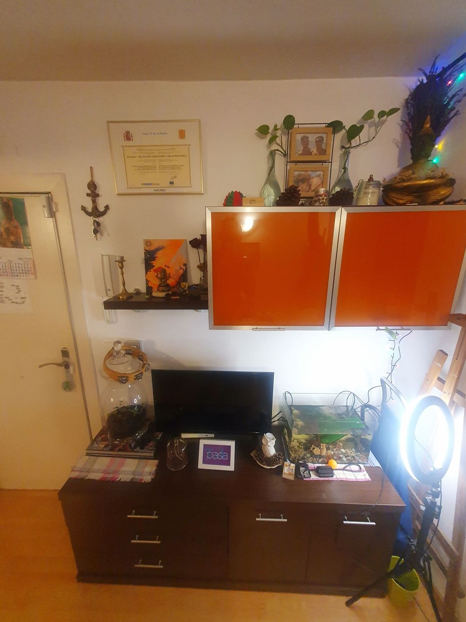 Estudio en calle cortines, 5 - Foto 2