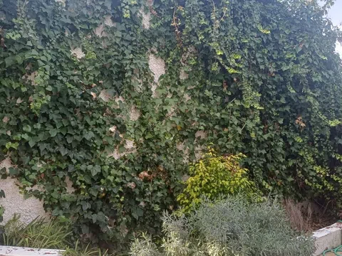 Casa independiente en Av vereda Real, 15 - Foto 23