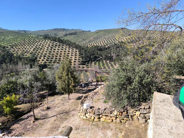 Cortijo en Via Sin Nombre s/n - Foto 28