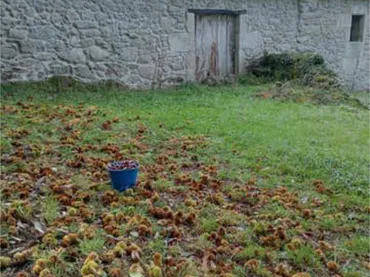 Chalet en O Saviñao, Vilatán, Lugo - Foto 6
