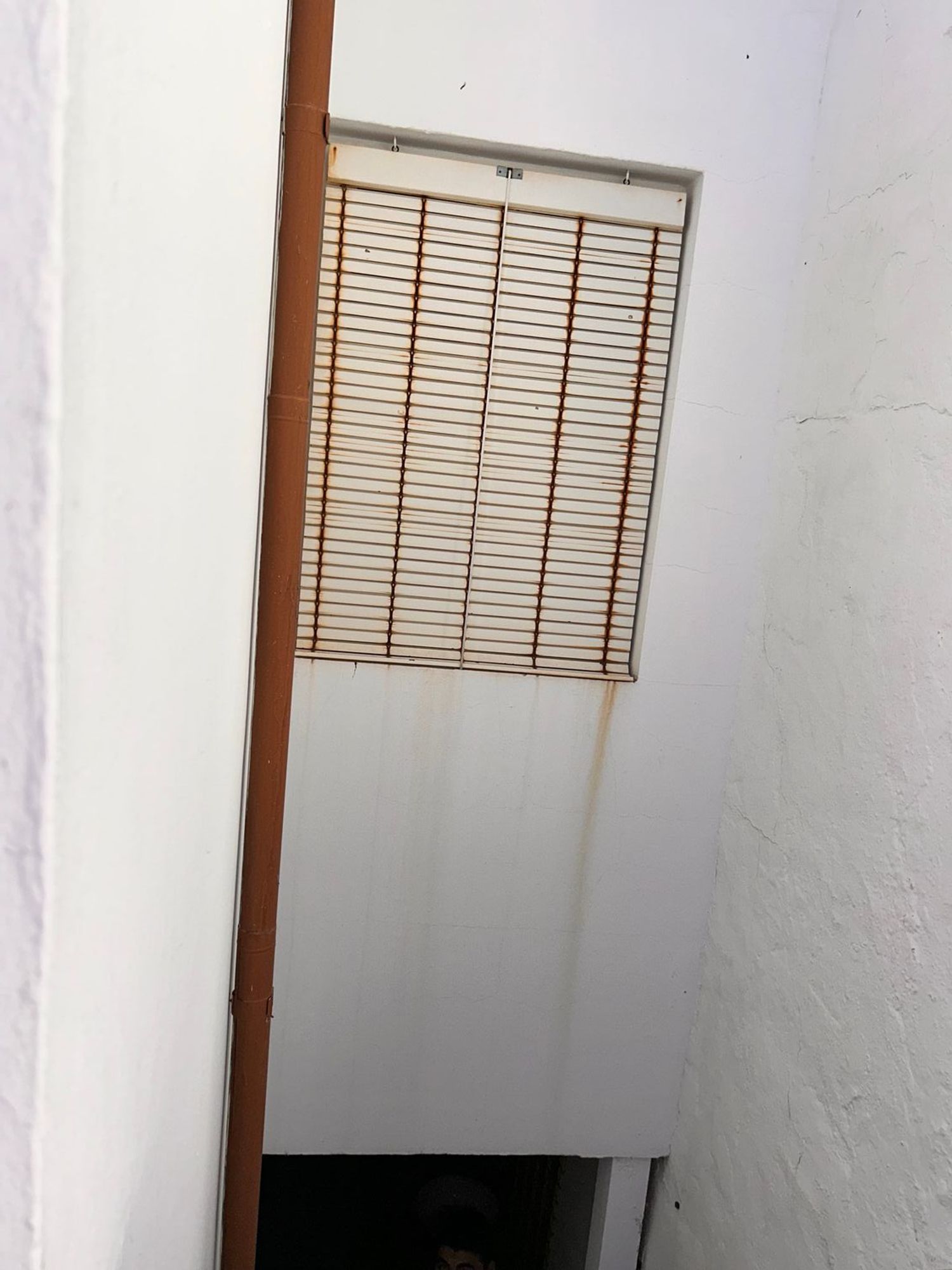 Casa de pueblo en Calle Mina, 99 - Foto 25