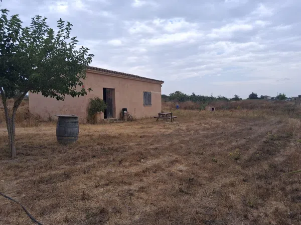 Finca rústica en Camino des Pou Nou, 2 - Foto 3