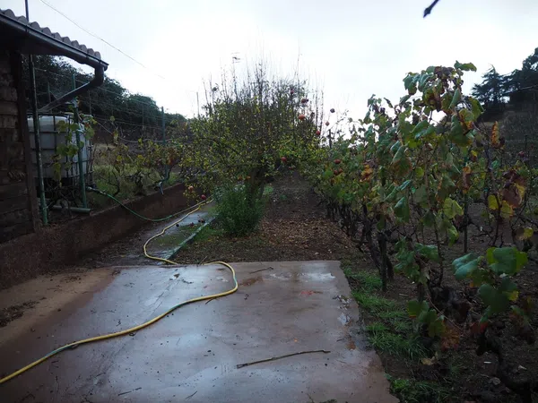 Casa independiente en calle el Sino, 37 - Foto 6