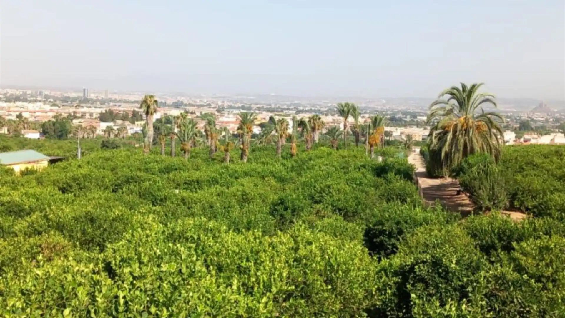 Piso en  Camino de Monteazahar 63 - Foto 16