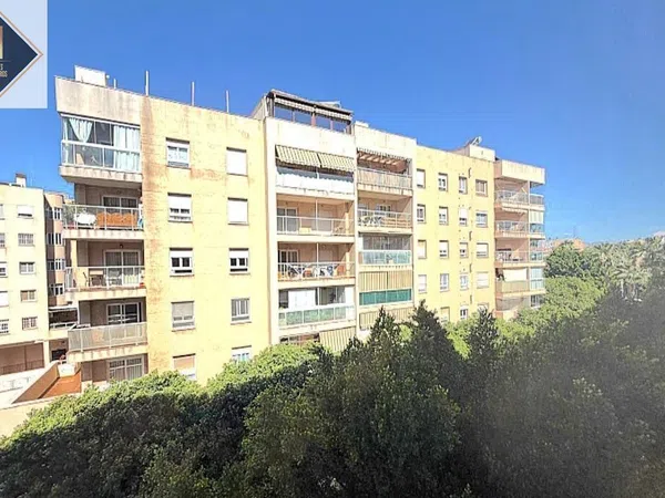 Piso en Calle Píndaro, 19, El Consul - El Romeral - Foto 37
