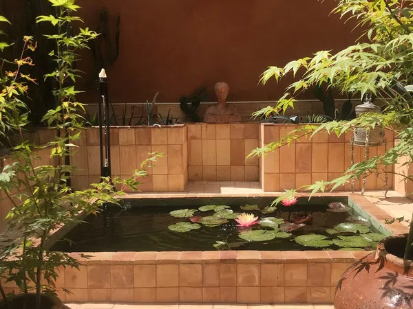 Estudio en calle del Ter, 31 - Foto 1