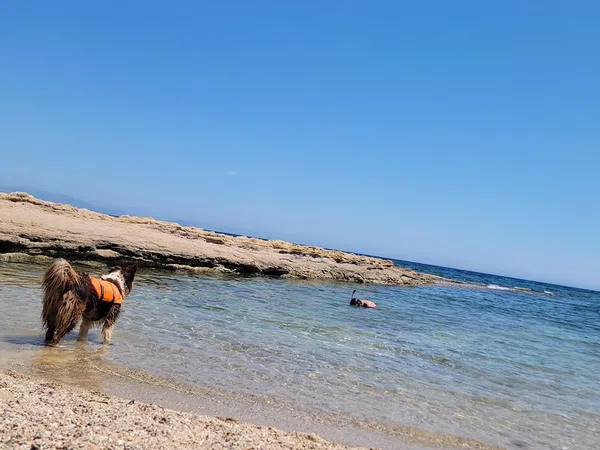 Piso en avenida Benidorm, 18 - Foto 12