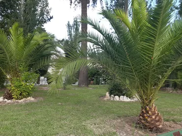 Piso en  Passeig Marítim de Sant Joan de Déu 185 - Foto 20