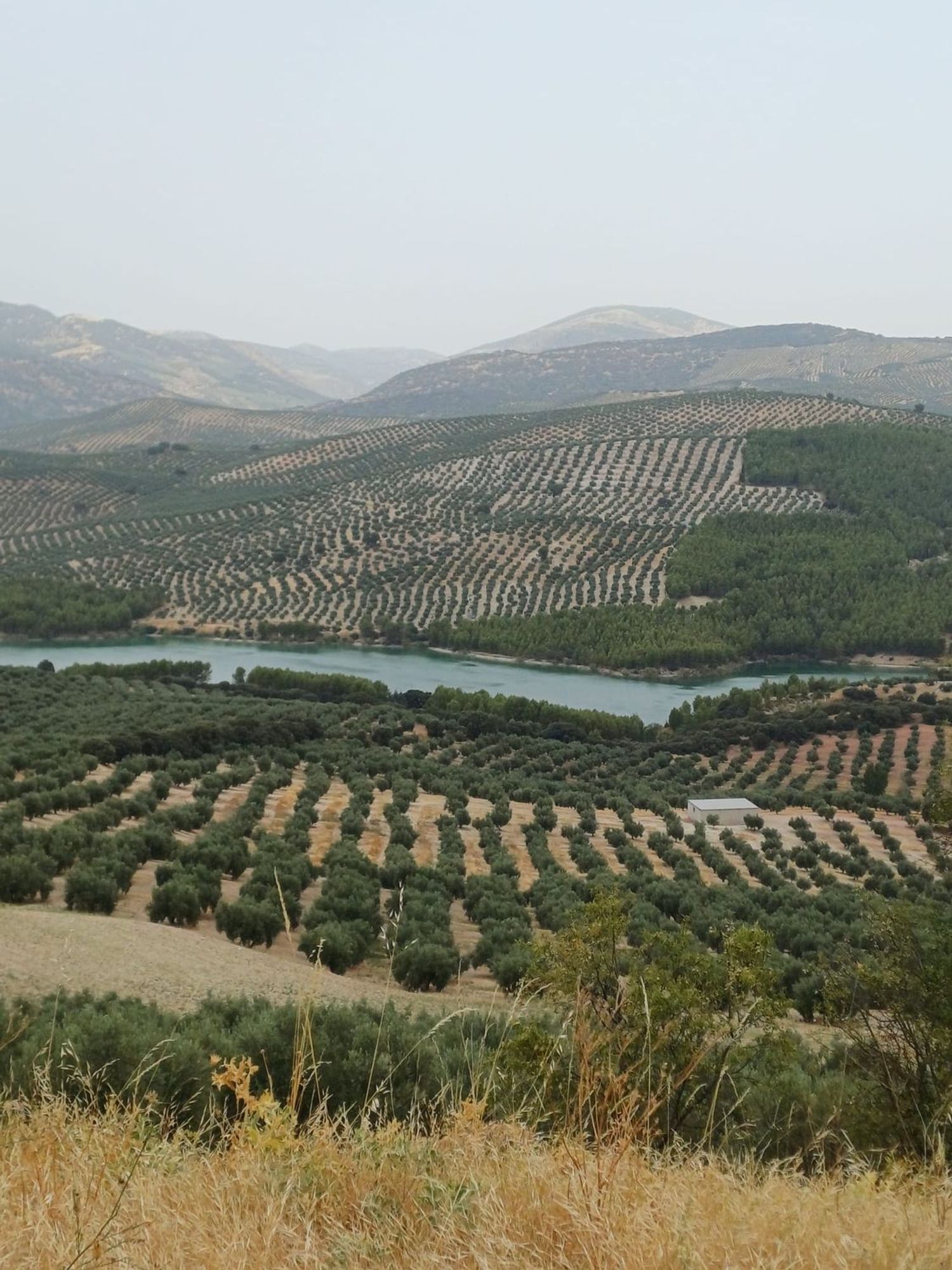 Cortijo en Cortijo en Unnamed Road s/n - Foto 11