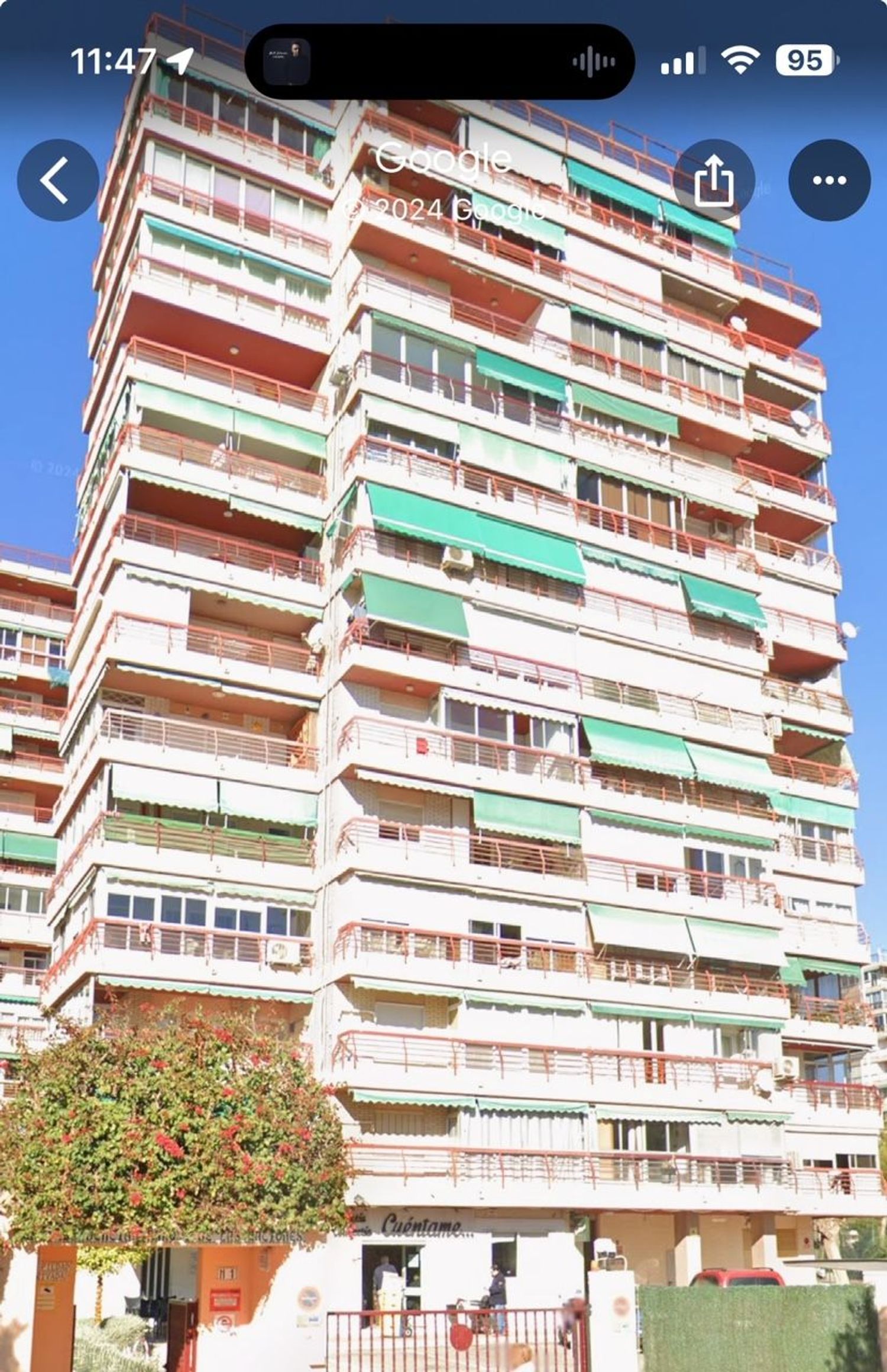 Piso en Calle Esportista Juan Matos s/n, La Albufereta - Foto 3