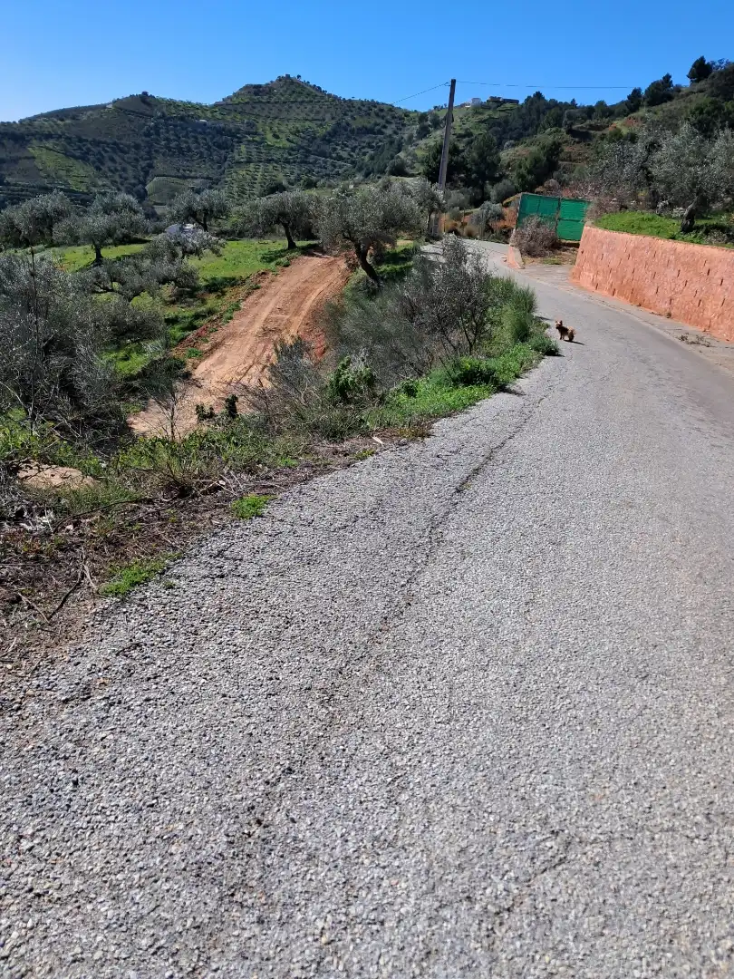 Finca rústica en  Diseminado el Cerval Pol 15 34B - Foto 28