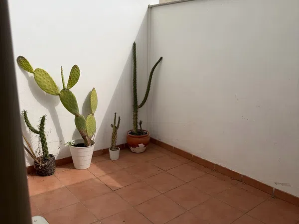 Chalet adosado en Calle Nules, 20 - Foto 12