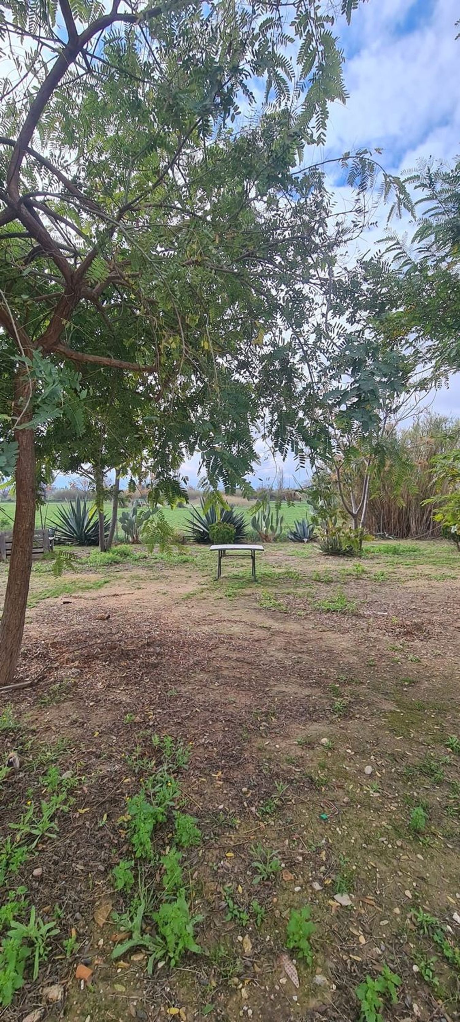 Piso en av de la ñora, 279 - Foto 14