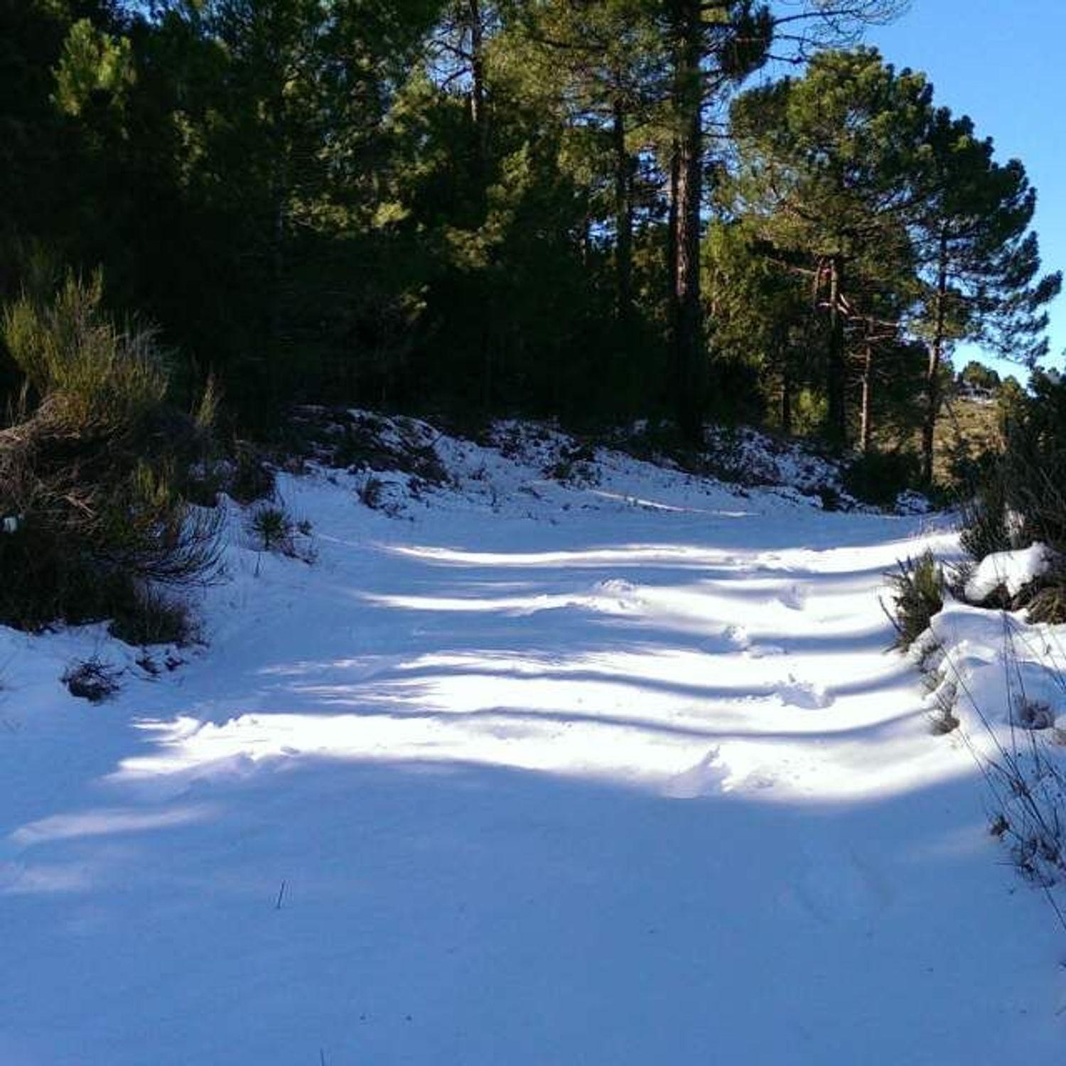 Cortijo en Cortijo en El Roble s/n - Foto 25