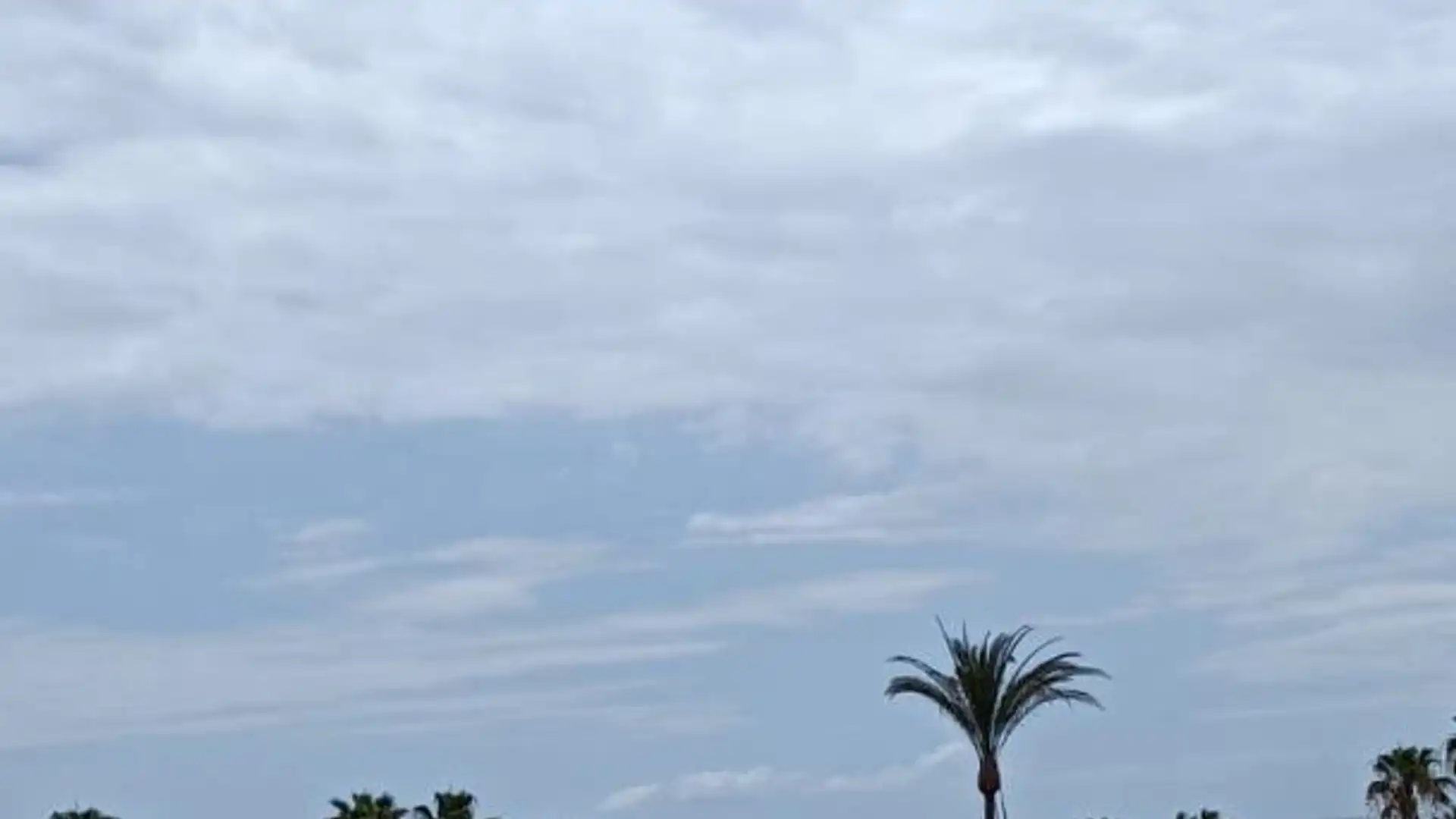 Piso en  Avenida Rafael Puig Lluvina 32 - Foto 13