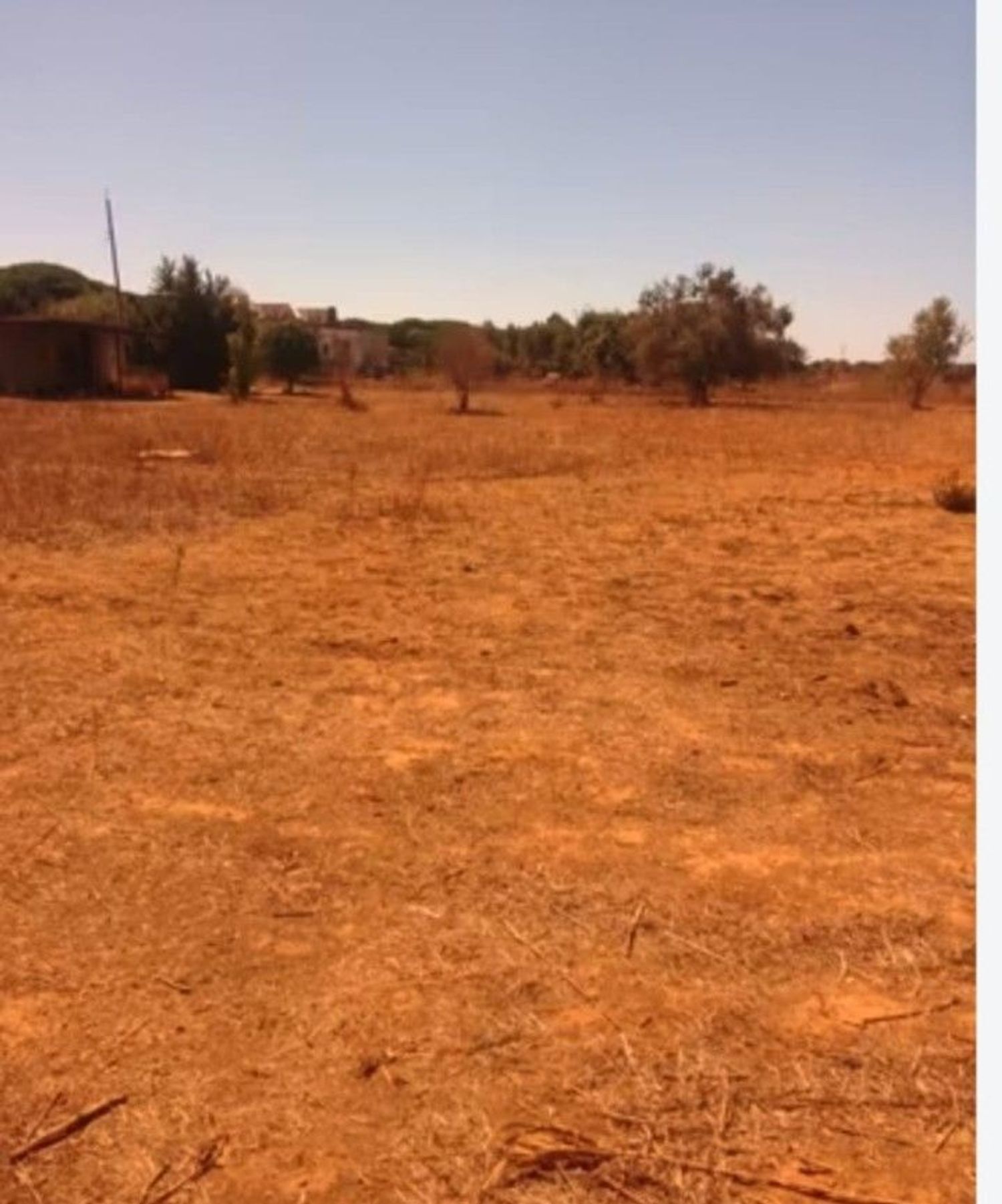 Finca rústica en Ca-3109 s/n - Foto 19