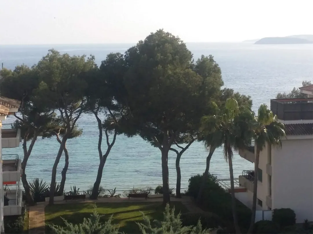 Ático en  Carrer Garcilaso de la Vega 5 - Foto 1