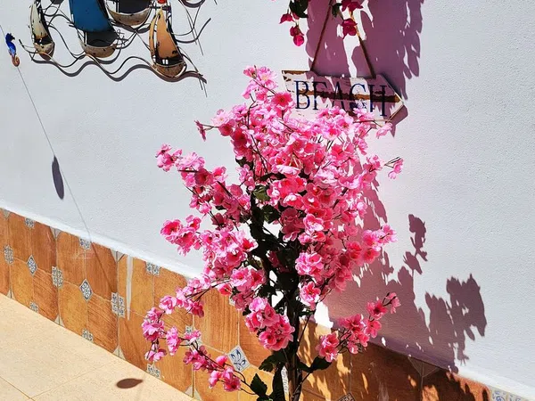 Chalet adosado en Calle Hernan Valle, 47, Mazarrón, Mazarrón - Foto 16