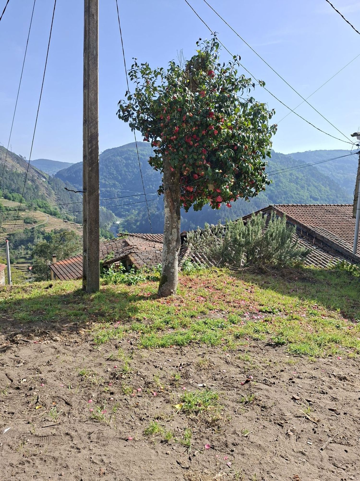 Casa de pueblo en Aldea Valdomar, 6 - Foto 12